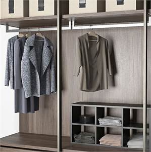 Poliform wardrobe